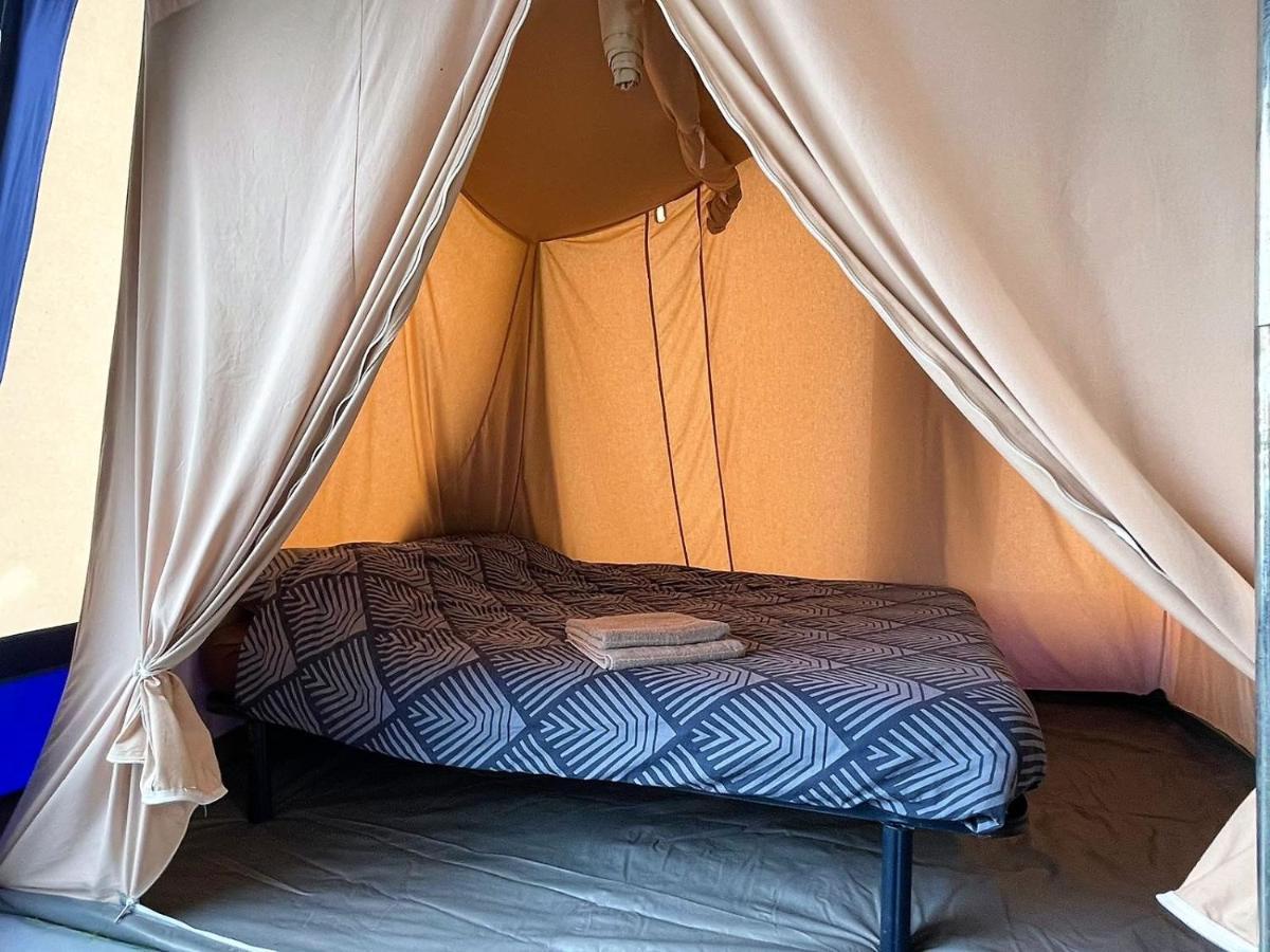 3- Persoons Bungalowtent Op Rustig Plekje Camping De Iepenhoeve Anna Paulowna Zewnętrze zdjęcie